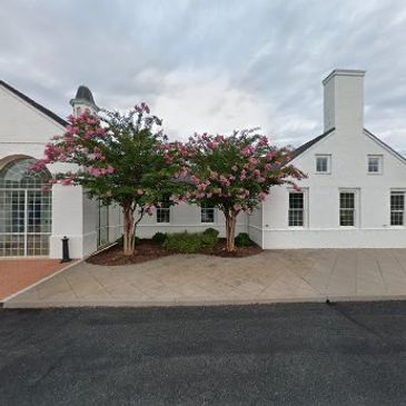 Two flowering trees in front of a white building with large windows.